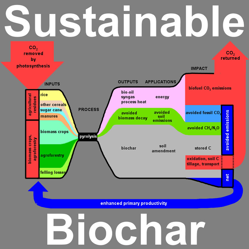 The Science Behind Wood Burning for Biochar