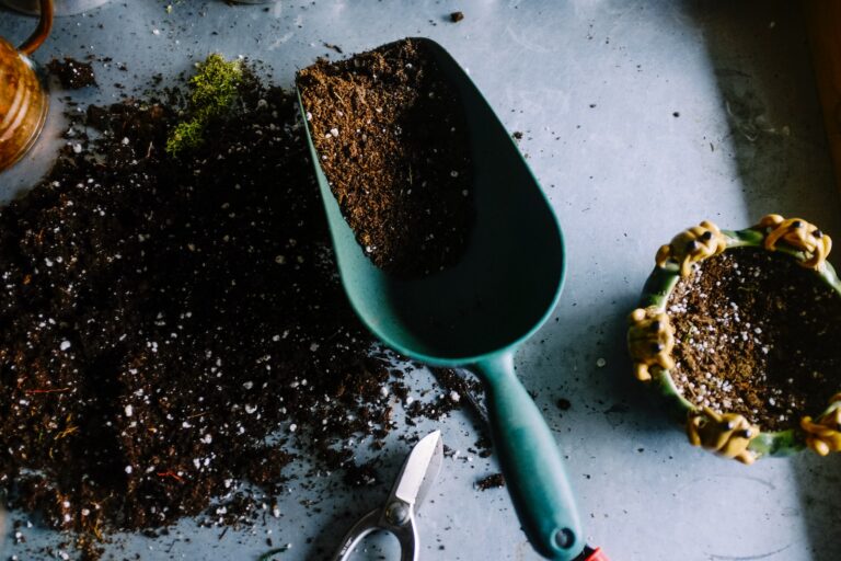 Can Compost Be Used As Soil?