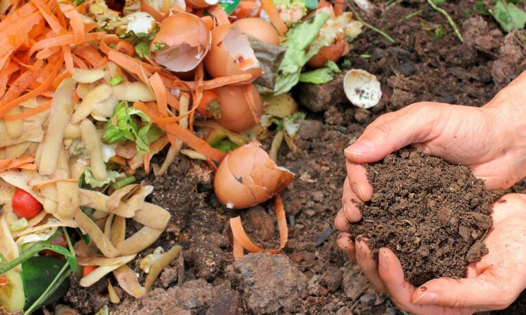 Should Compost Be Mixed With Soil?